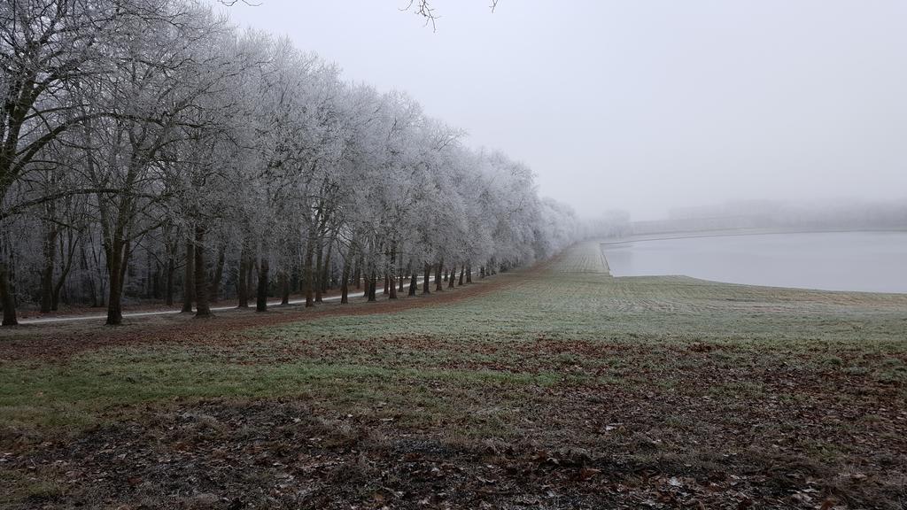 Les Carres Appartement Versailles Buitenkant foto